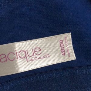 Cacique Intimates & Sleepwear - Cacique cotton bra 42DDD Cacique Intimates & Sleepwear - Cacique cotton bra 42DDD